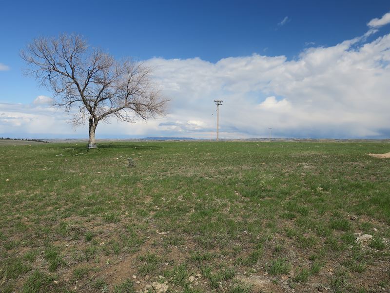 Flyin J Parcel : Sheridan : Sheridan County : Wyoming