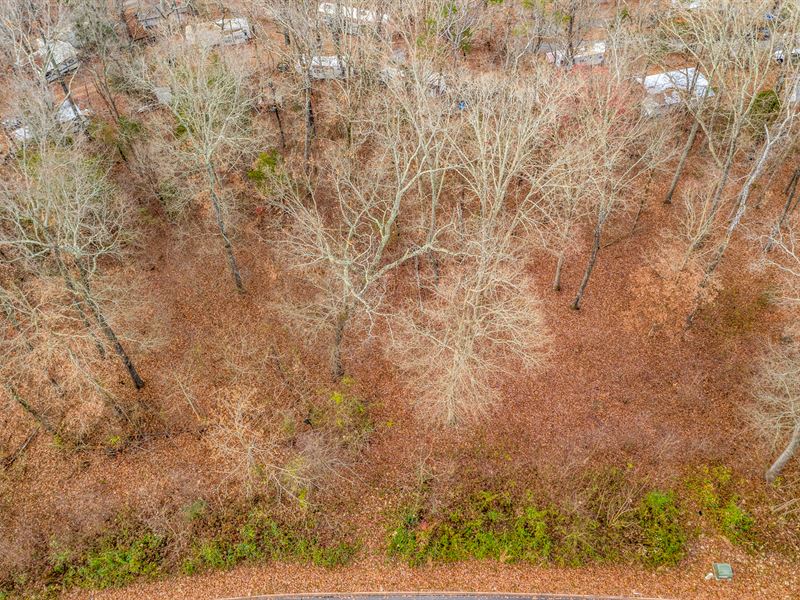 Liquidation Sale, Lake View Lot : Rutledge : Grainger County : Tennessee