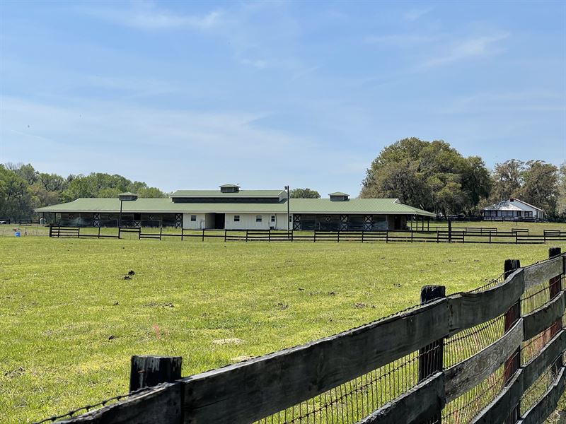 Private 160 +/- Acres, Equestrian : Brooksville : Hernando County : Florida