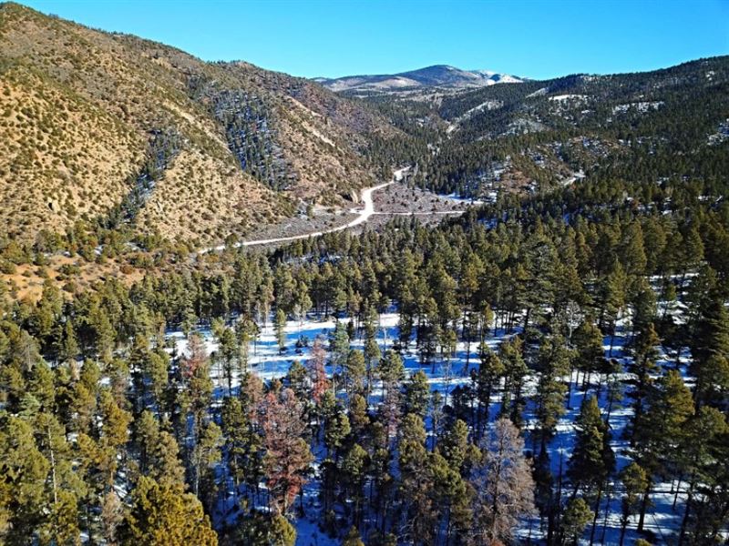 You Need Camping and Hiking : San Luis : Costilla County : Colorado