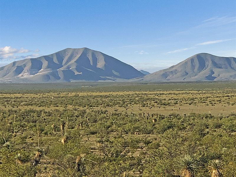 22 Acres Deep West Texas $185/Mo : Fort Hancock : Hudspeth County : Texas