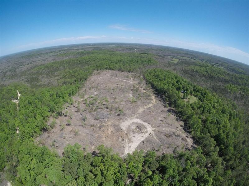 20 Acres in Pineville, AR : Bexar : Fulton County : Arkansas