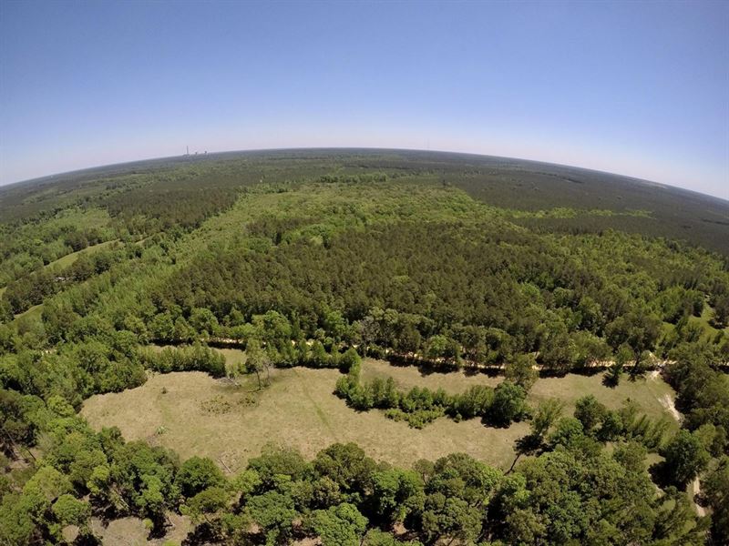 9.4 Acres in Sheridan, AR : Jefferson : Grant County : Arkansas