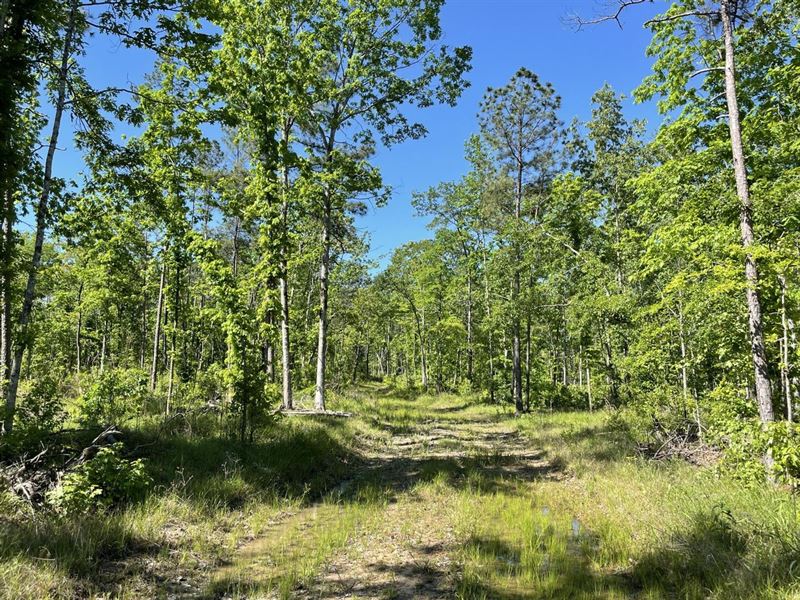 95 Acres on Geyer Springs Rd : Little Rock : Pulaski County : Arkansas