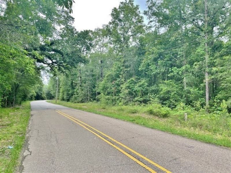 37 Acres, Ponchatoula Land for Sale in Ponchatoula, Tangipahoa Parish
