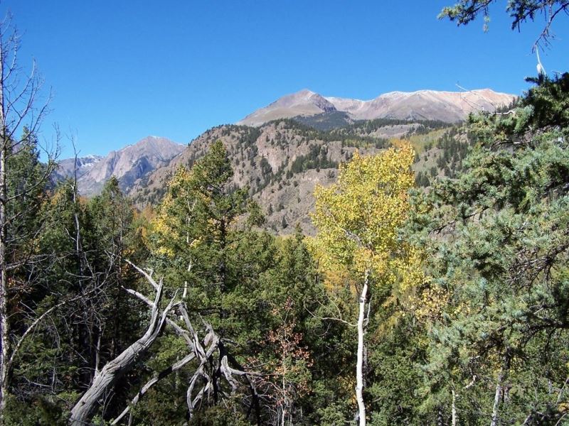 Wyss's Land, Lot 2 : Lake City : Hinsdale County : Colorado