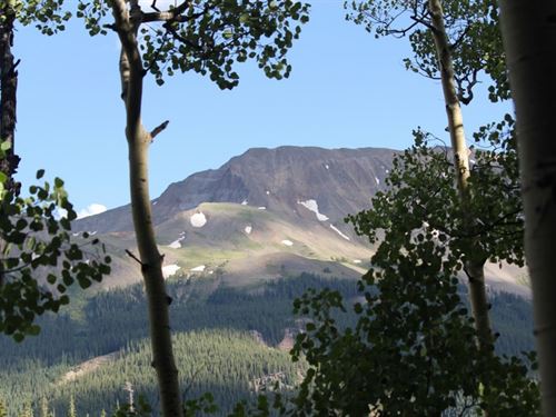 Lily Lode Mining Claim : Lake City : Hinsdale County : Colorado