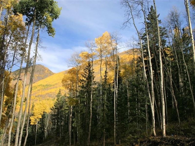 Alpine Vista, Lot 6 : Lake City : Hinsdale County : Colorado