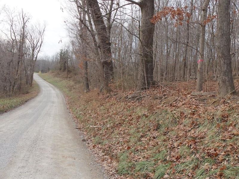 TR 124, 61 Acres, Perry County : New Lexington : Perry County : Ohio