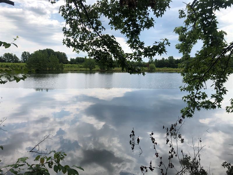 Farm / Ranch Hickory Plains : Hickory Plains : Prairie County : Arkansas