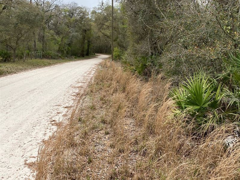 Lot Near Suwannee River for $14000 : Branford : Lafayette County : Florida