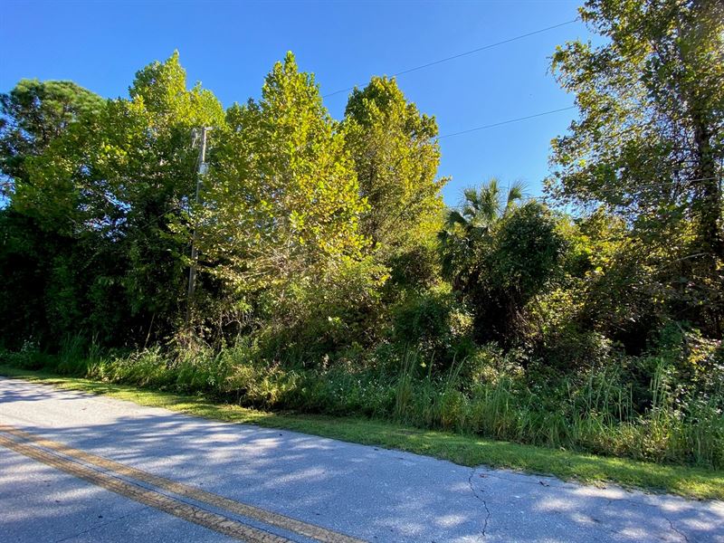 Commercial Land Lake City Florida : Lake City : Columbia County : Florida