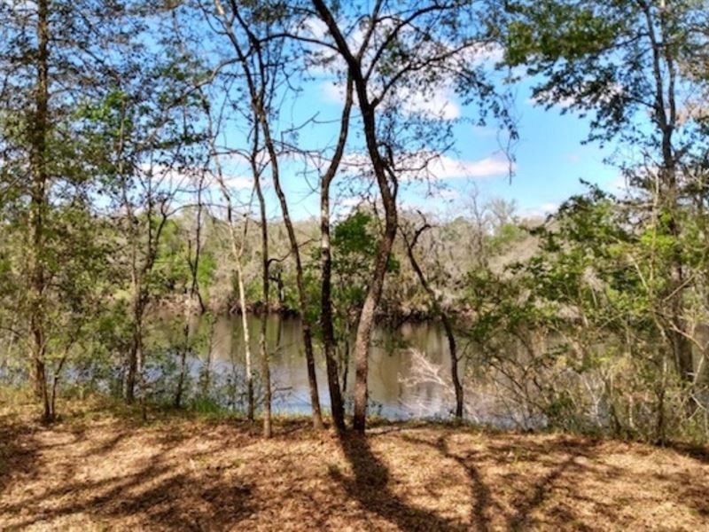 2 Acre Cleared Lot Suwannee River Land for Sale in Live Oak, Suwannee