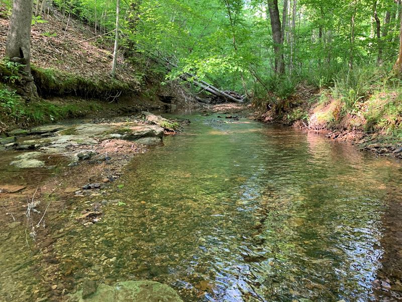 Acreage in Lawrence County, TN : Lawrenceburg : Lawrence County : Tennessee
