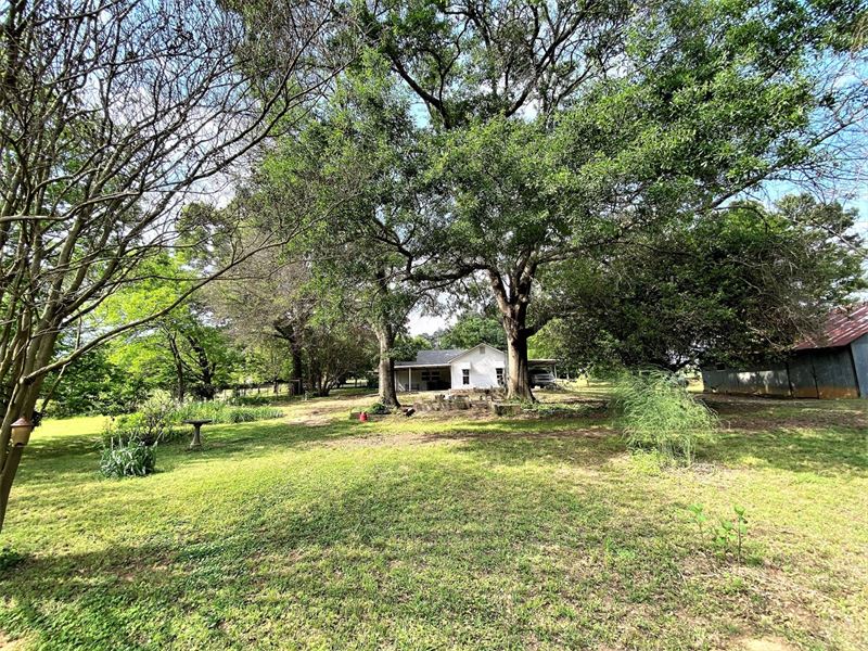 Home & Land Smith Co Texas Lake : Tyler : Smith County : Texas