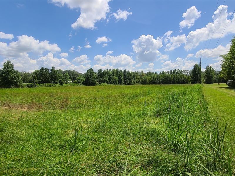 Land for Sale in Delhi LA : Delhi : Franklin Parish : Louisiana