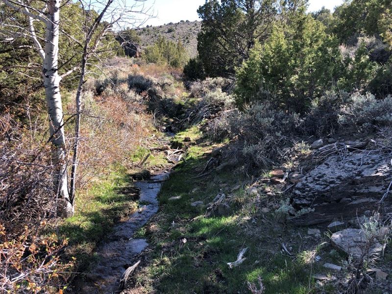 Nevada Residential Hunting Mountain : Reno : Washoe County : Nevada