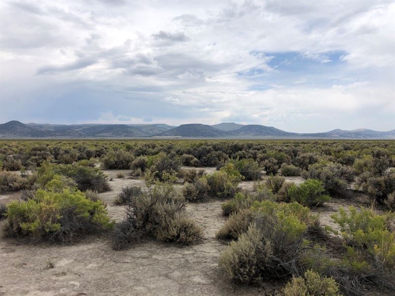Nevada Recreational Ranch Hunting : Gerlach : Washoe County : Nevada