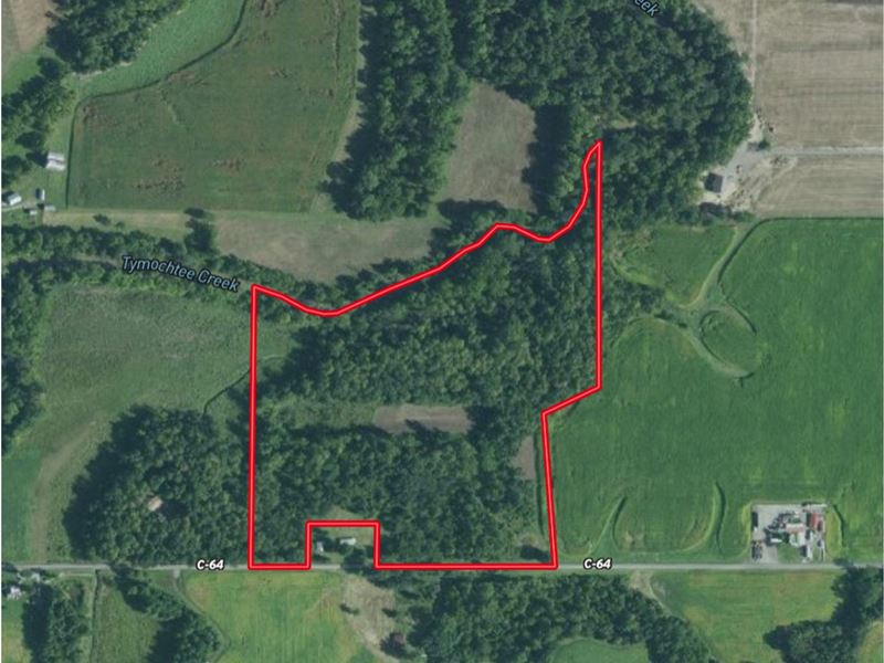 Hunting/Recreation Land Auction : Upper Sandusky : Wyandot County : Ohio