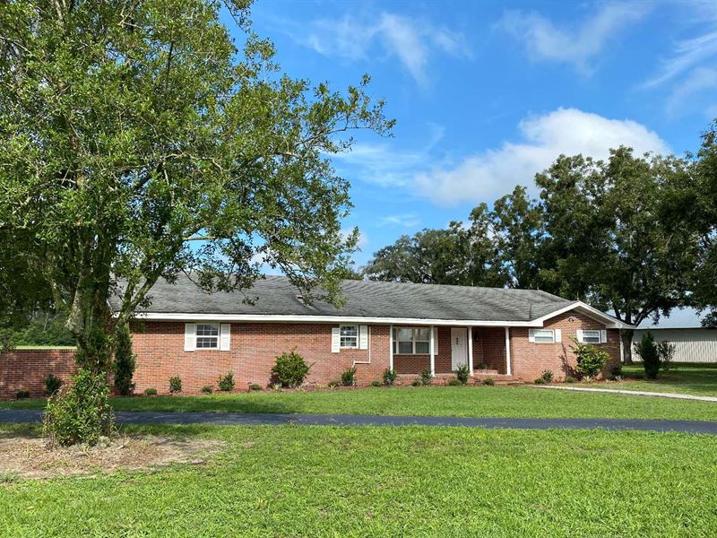 Gentlemens Farm : Live Oak : Suwannee County : Florida