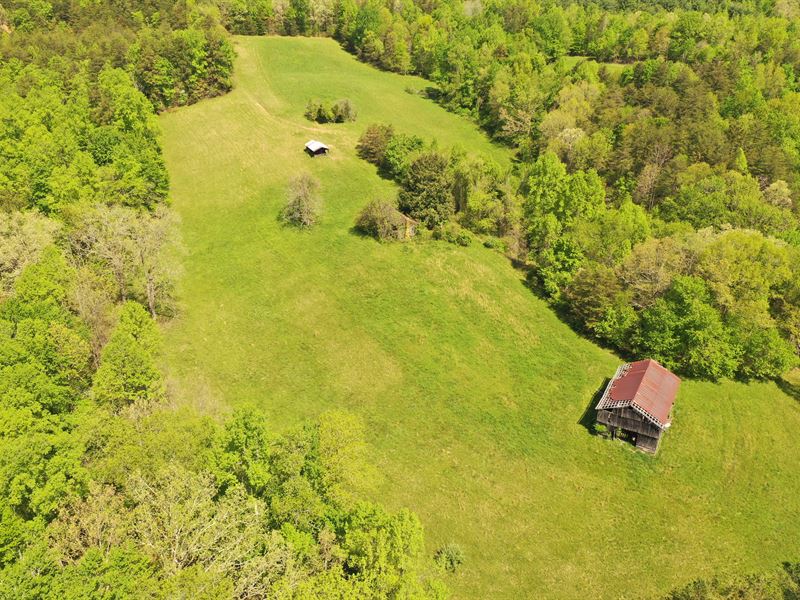 Beautiful Farm with Old Home : Booneville : Owsley County : Kentucky