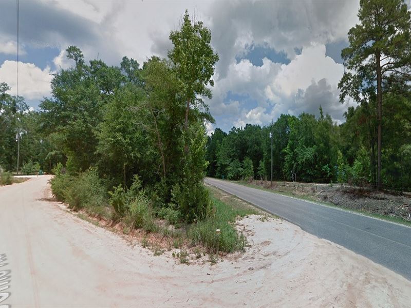 3.86 Acres, Ag-2 Allows 3 Dwellings : Cottondale : Jackson County : Florida