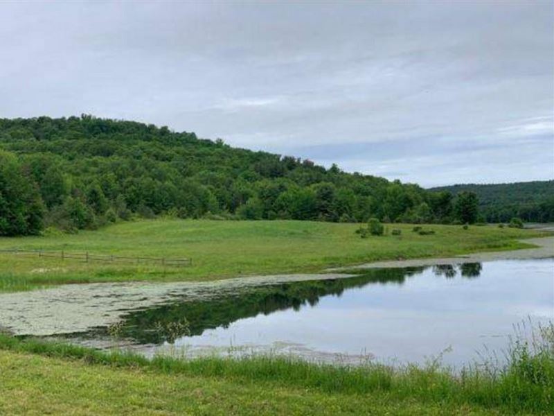 On Strawberry Lake : Marathon : Cortland County : New York
