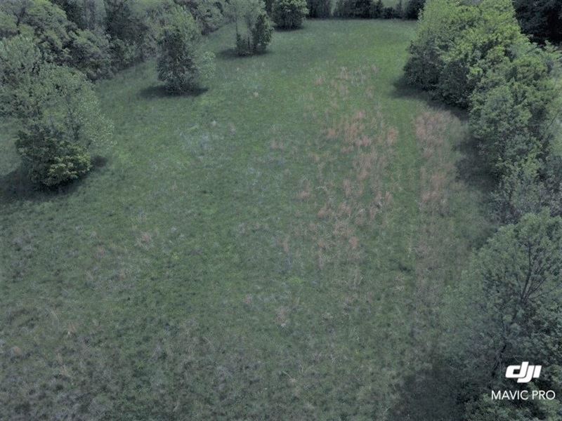White River Building Lot for Sale : Mountain View : Stone County : Arkansas