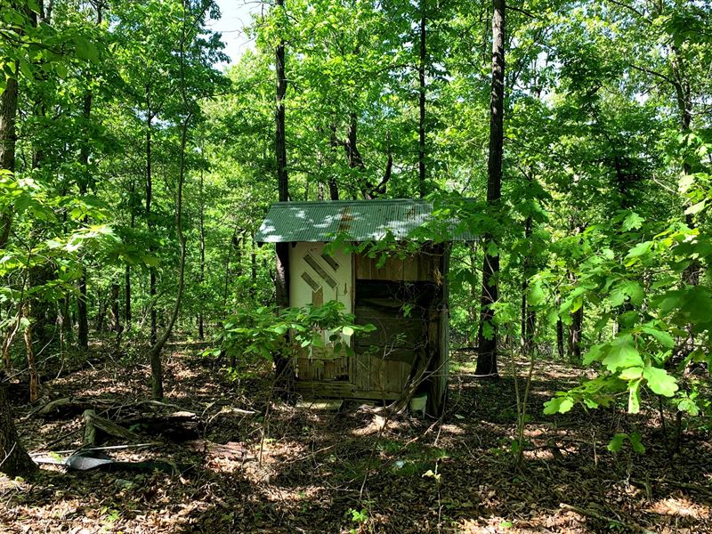 29 Acres Near Bull Shoals Lake : Peel : Marion County : Arkansas