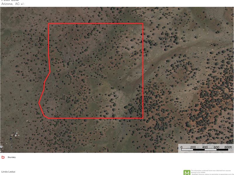Hunting-Recreational-Rural-Off Grid : Ash Fork : Coconino County : Arizona