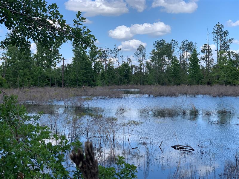 Home & Land in Jackson County, FL, Land for Sale in Florida, 277852