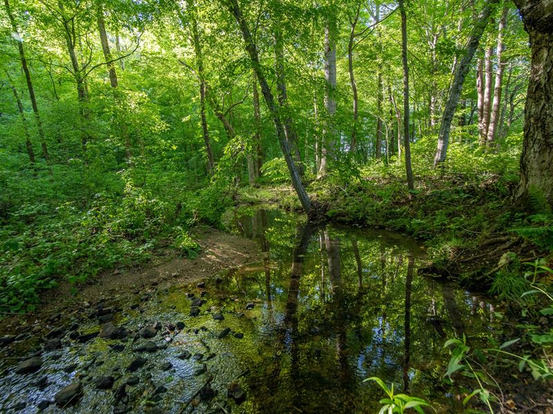 5 TN Ac Spring Fed Rock Creek : Waynesboro : Wayne County : Tennessee