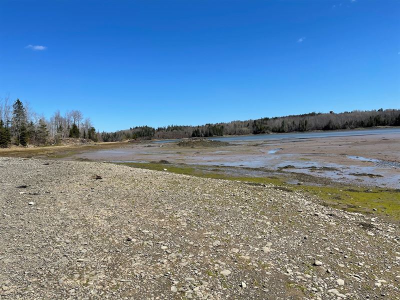 Land on South Bay : Lubec : Washington County : Maine