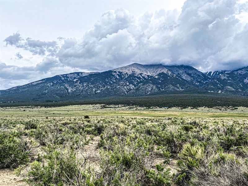 Dream Property for Future Build : Blanca : Costilla County : Colorado