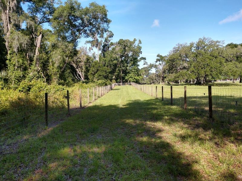 Attractive 10.3 Mol Ac State Trail : Floral City : Citrus County : Florida