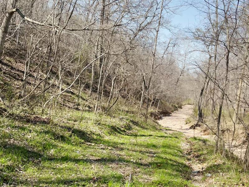 40 Acres in McDonald County, MO : Anderson : McDonald County : Missouri
