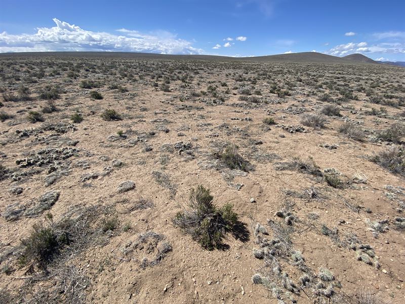7 Acres Near Smith Reservoir, Power : Blanca : Costilla County : Colorado