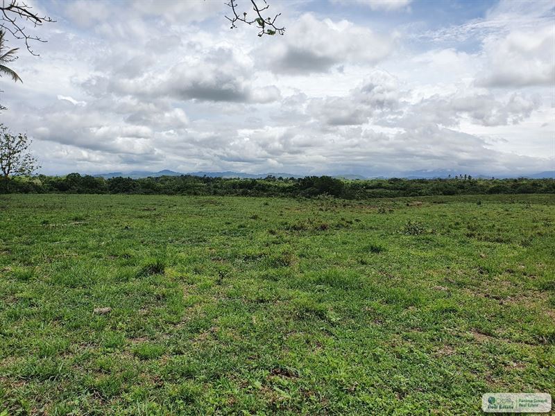 2.9 Hectares Land Via : Panama