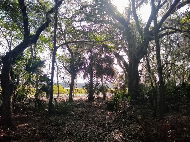 1 Acre Waterfront Lot : Chiefland : Levy County : Florida