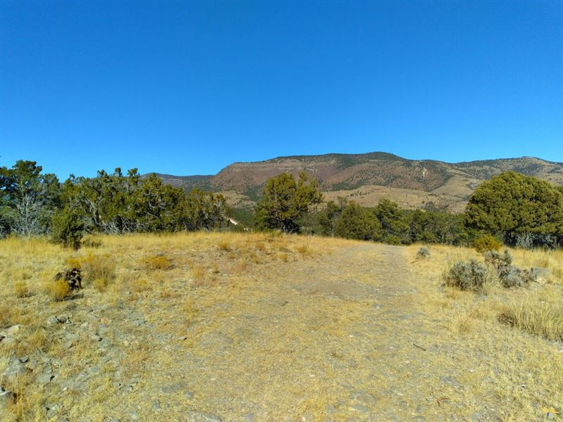 Start of a Wonderful Family Getaway : Timberon : Otero County : New Mexico