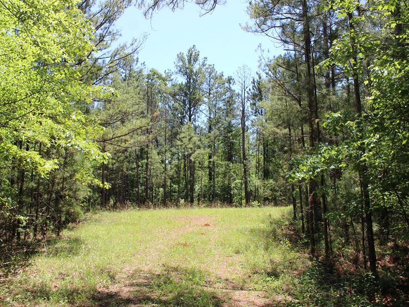 Affordable Homesite : Thomaston : Upson County : Georgia