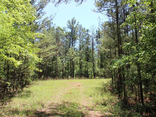 Affordable Homesite : Thomaston : Upson County : Georgia