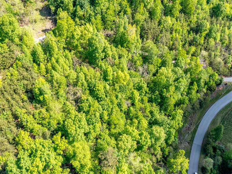 1.5 Acre Lot with Norris Lake View : New Tazewell : Claiborne County : Tennessee