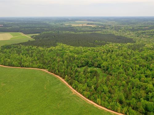 Lake District Woodland Preserve : Shady Dale : Putnam County : Georgia