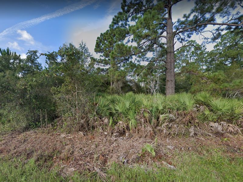 .39 Acres for Sale in Deland, FL : Deland : Volusia County : Florida