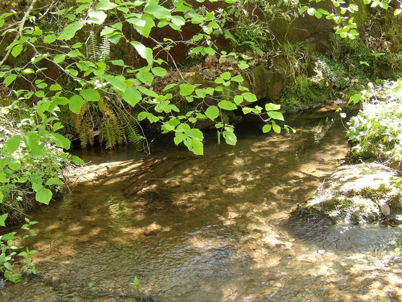 Creeks, Private, No Restrictions : Pikeville : Bledsoe County : Tennessee