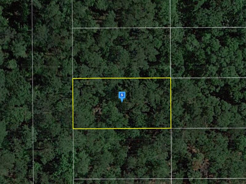 .25 Acre in Suwannee County, FL : Live Oak : Suwannee County : Florida