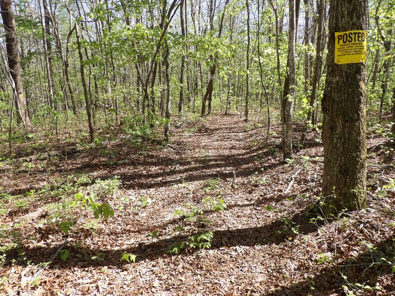Creeks, Road Frontage, Private : Pikeville : Bledsoe County : Tennessee