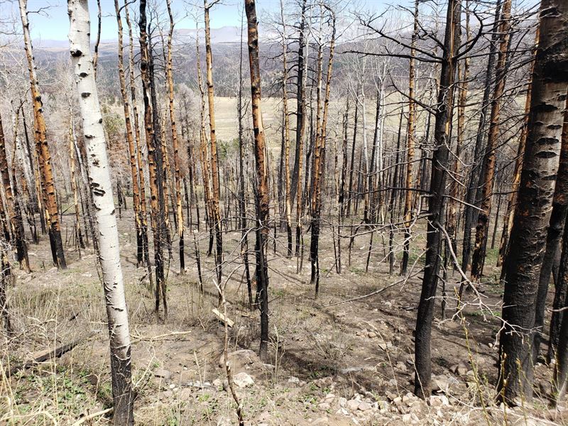 Relax & Be At One with Nature : Fort Garland : Costilla County : Colorado