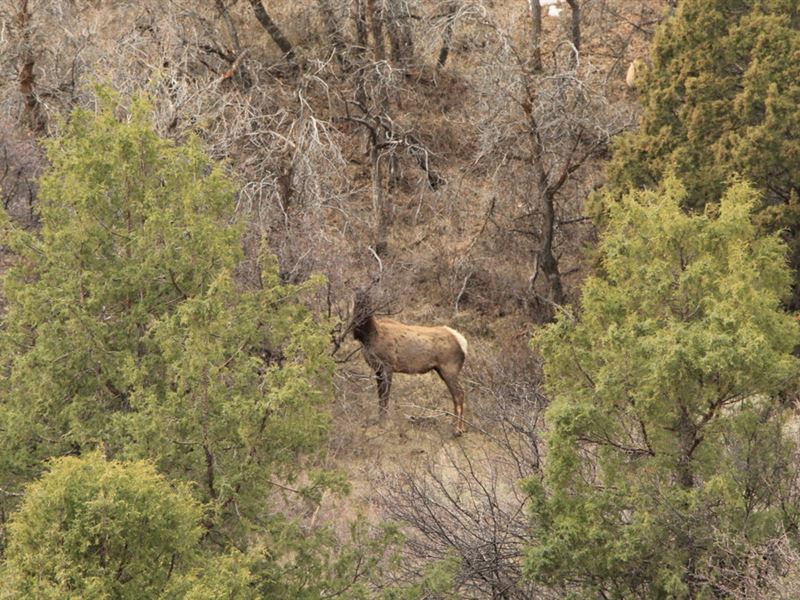 Rio Blanco Hill Ranch : Meeker : Rio Blanco County : Colorado